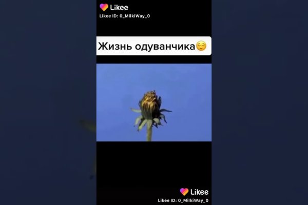 Кракен купить порошок