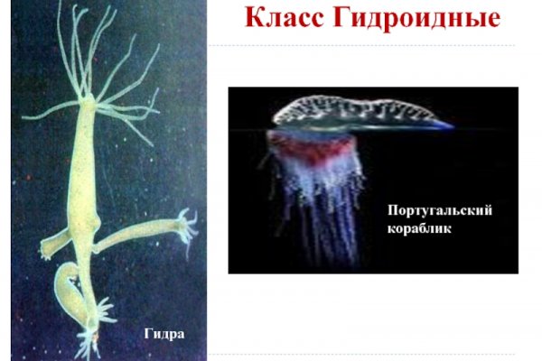 Как зайти на площадку кракен